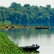 Lonjsko Polje Nature Park