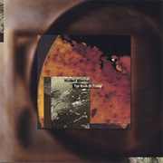 Michael Manring - The Fire Sermon