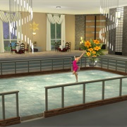 Ice Skating Room