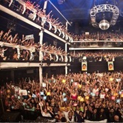 Terminal 5 (New York, NY)