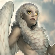 Owl Harpy