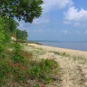 Croatan National Forest