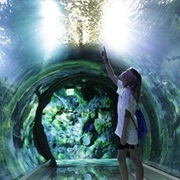 Sea Life London Aquarium™