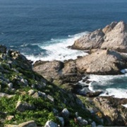 Farallon National Wildlife Refuge