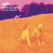 Losing Streak • Eels