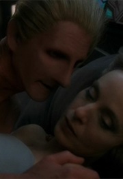 A Simple Investigation (1997)