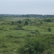 Sand Hills State Park, Kansas