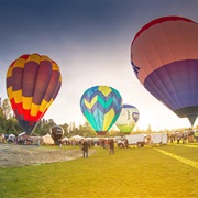 Festival of Balloons Tigard, OR
