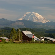 Enumclaw, Washington