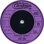 Rare Bird - Beautiful Scarlet
