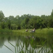 Sycamore State Park, Ohio