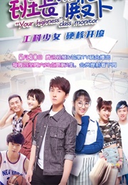 Your Highness, the Class Monitor (2019)