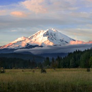 Mount Shasta