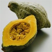 Hubbard Squash - Elizabeth Hubbard