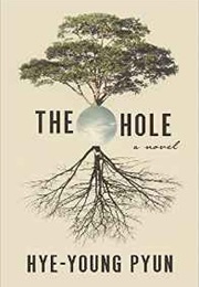 The Hole (Hye-Young Pyun)