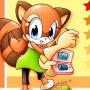 Marine  the  Raccoon