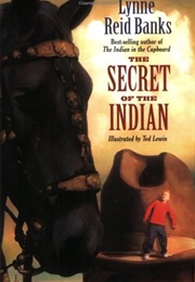 The Secret of the Indian (Lynne Reid Banks)