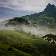Mundo Perdido, Timor-Leste