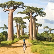 Madagascar, Africa