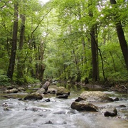 Little Carpathians Protected Landscape Area