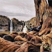 Estado De Durango -Nombre De Dios