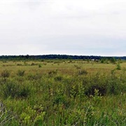 Bear Lake Sedge Meadow State Natural Area, Wisconsin