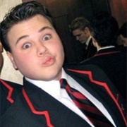 Warbler Trent