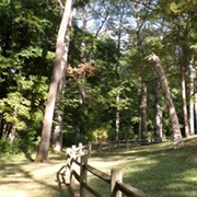 Mounds State Recreation Area, Indiana
