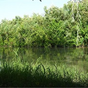 Shirvan National Park, Azerbaijan