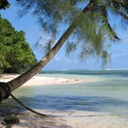 Ulimang, Palau