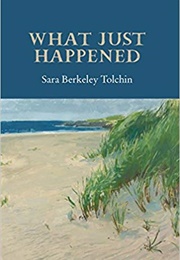What Just Happened (Sara Berkeley Tolchin)