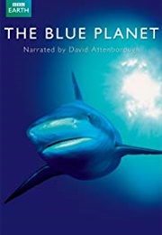The Blue Planet (2001)