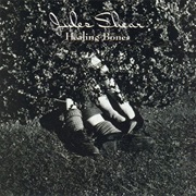 Jules Shear - Healing Bones