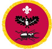Naturalist Activity Badge