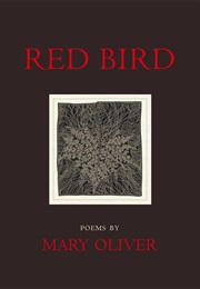 Red Bird (Mary Oliver)