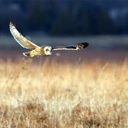 Shawangunk Grasslands National Wildlife Refuge