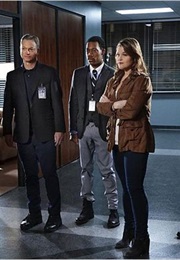 Criminal Minds Beyond Borders (2016)