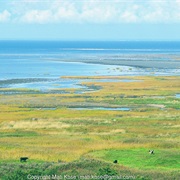 Luitemaa Nature Reserve, Estonia