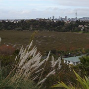 Te Kopua-O-Matakamokamo / Tank Farm
