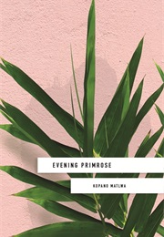 Evening Primrose (Kopano Matlwa)