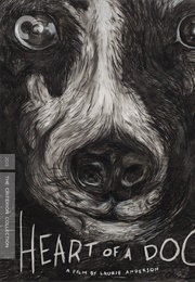 Heart of a Dog (2015)