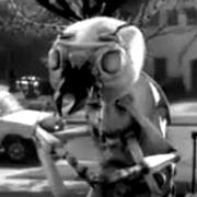 Termites of Callisto