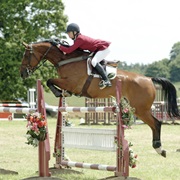 Jumped Over 1 Metre