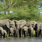 Pendjari National Park