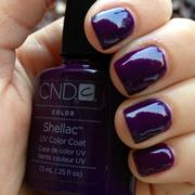 Shellac