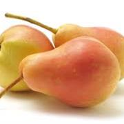 Corella Pear