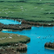 Marshlands