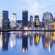 Barcode Project, Oslo