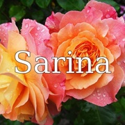 Sarina