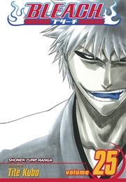 Bleach Volume 25 (Tite Kubo)